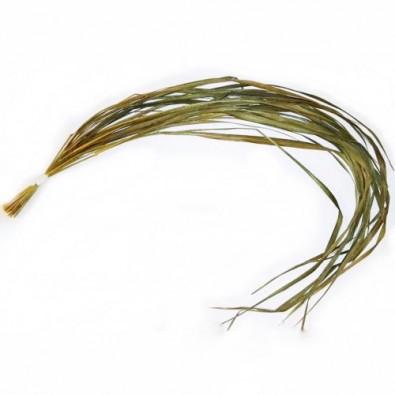 Sweet Grass - słodka trawa ŻUBROWA (mały pęk)