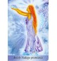 Karty "Świetlista Siła Aniołów" (książka + karty)
